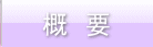 概要